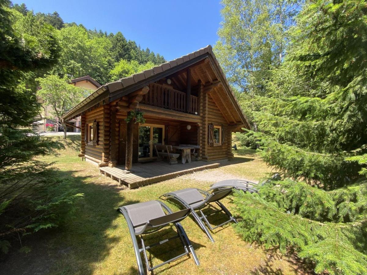 L'Ours Noir Chalet En Rondins La Bresse Εξωτερικό φωτογραφία