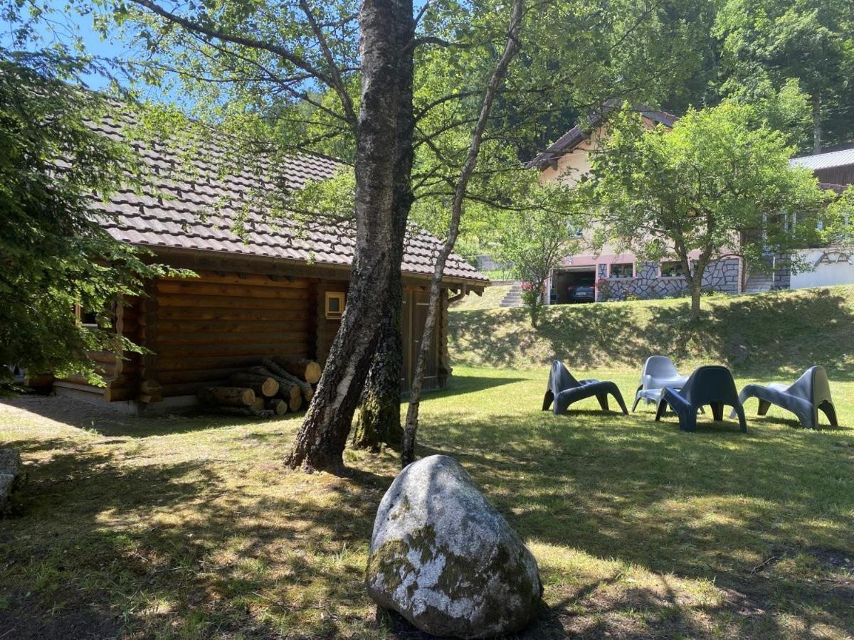 L'Ours Noir Chalet En Rondins La Bresse Εξωτερικό φωτογραφία